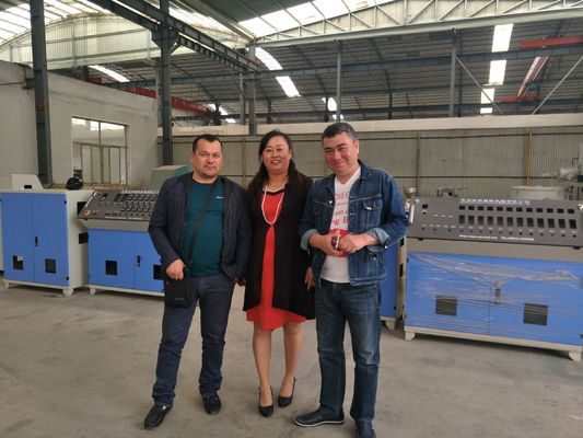 Goede prijs. PE Dubbele Muur Golfpijpproductielijn/Pijp die Machine maken online